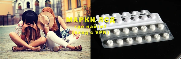 крисы Магадан
