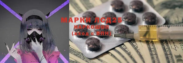 ECSTASY Майский