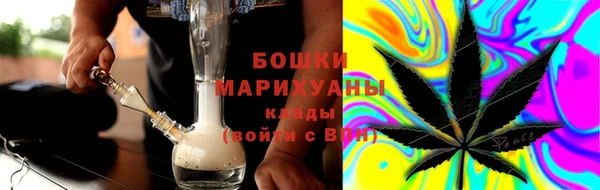 сатива Липки