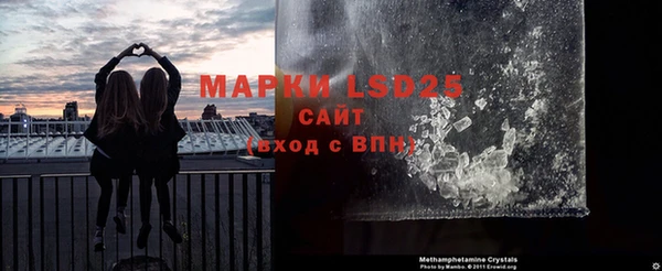 крисы Магадан