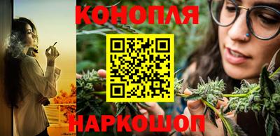гашик Гусев