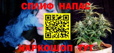 гашик Гусев