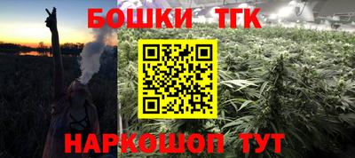 гашик Гусев