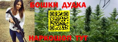 гашик Гусь-Хрустальный