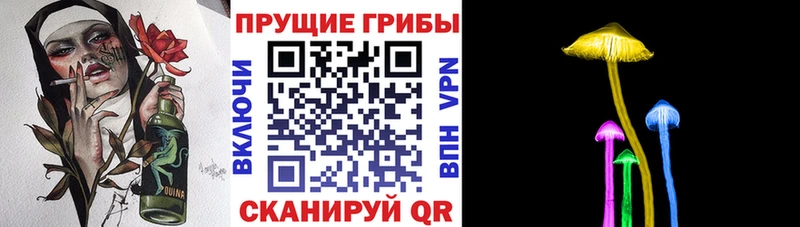 Галлюциногенные грибы MAGIC MUSHROOMS  купить закладку  Майский 